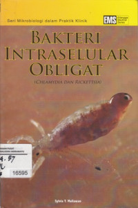 Image of Bakteri Intraselular Obligat ( Chlamydia dan Rickettsia)