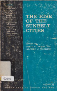 Image of The Rise Of The Sunbelt Cities