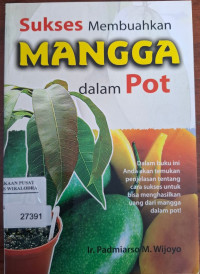 Image of Sukses Membuahkan Mangga Dalam Pot
